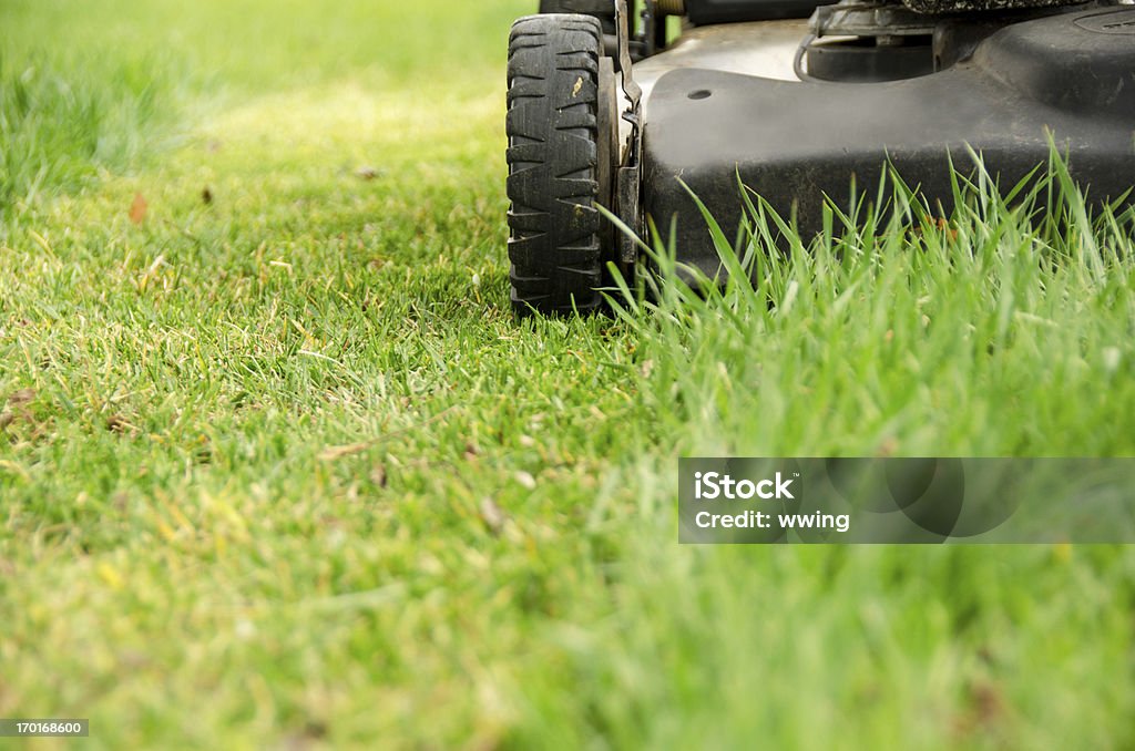 Lawn Mower and Spring Mowing The wheels of a used lawn mower on old lawn  grass with its first spring mowing. Close-up Mowing Stock Photo