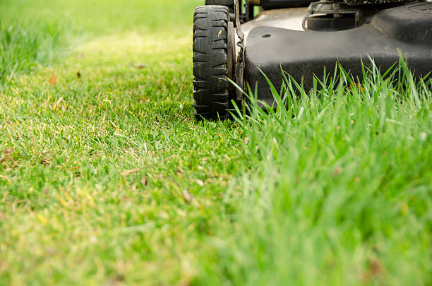 Lawn Mower and Spring Mowing stock photo