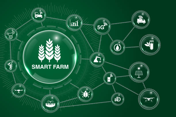 transparent bubble background with the concept of agriculture and plantations with smart farmers. digital iot farming methods and farm automation. transparent bubble background with the concept of agriculture and plantations with smart farmers. digital iot farming methods and farm automation. precision agriculture stock illustrations