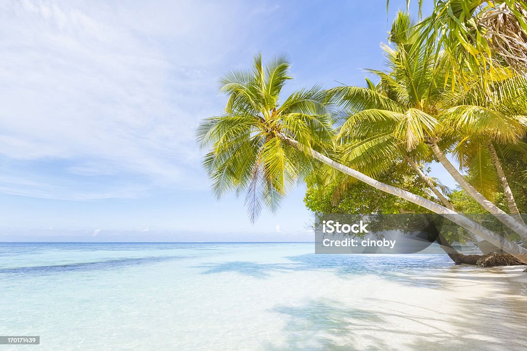 TROPISCHER STRAND - Lizenzfrei Malediven Stock-Foto