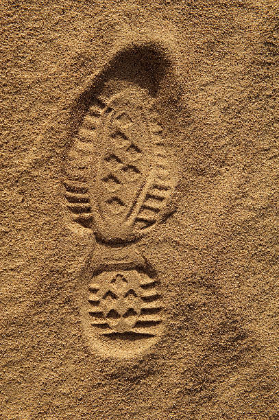 huella en la arena - sand footprint track following fotografías e imágenes de stock