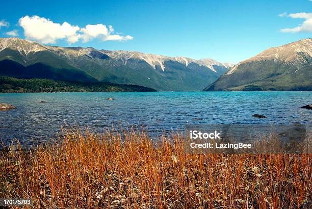 Photo libre de droit de Lac Rotoiti Nelson Lakes National Park Nouvellezélande banque d'images et plus d'images libres de droit de Alpes du sud de la Nouvelle-Zélande