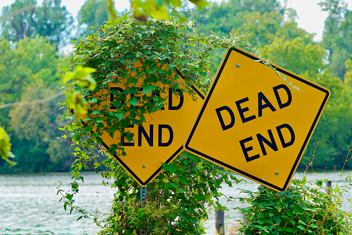 Two “Dead End” traffic signs at the end of a road leading to a river with one covered in overgrown plants.