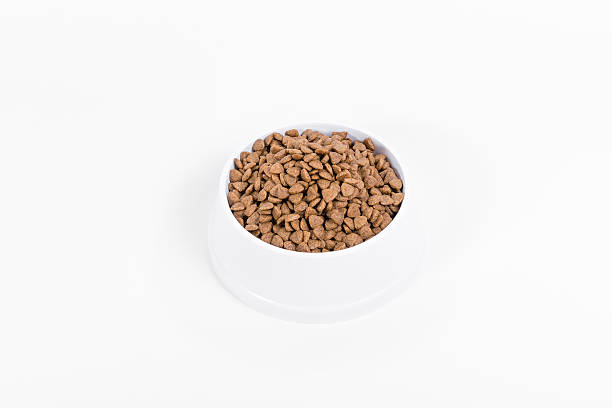 istock Dog dry food in a bowl 170176891