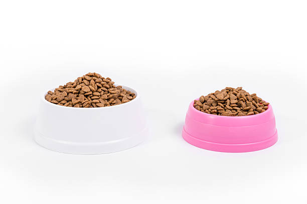 istock Dog dry food in a bowl 170177001