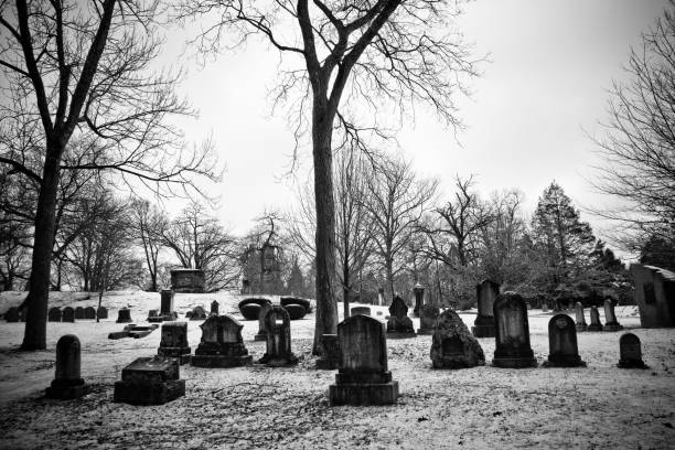 istock Snow covered public park in winter 1701780934