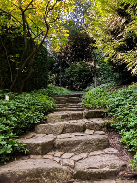 istock Botanical garden in Japanese style 1701788545