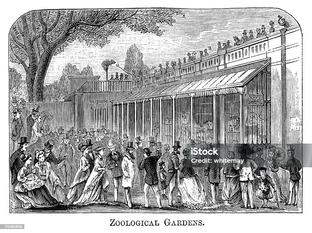 動物園、ロンドン（1871 彫り込み - ロンドン動物園のロイヤリティフリーストックイラストレーション