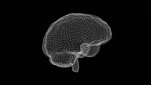 Spinning 3d wireframe brain motion graphics with plain black background