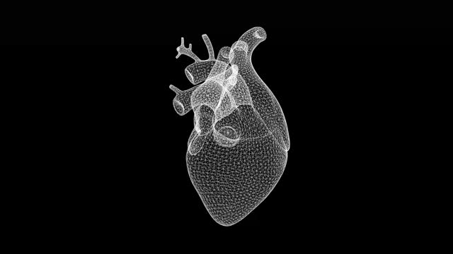 Spinning 3d wireframe heart motion graphics with plain black background