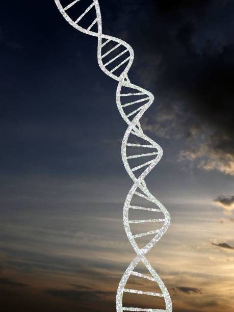 istock Vertical of DNA against the sky at sunset 1701824996