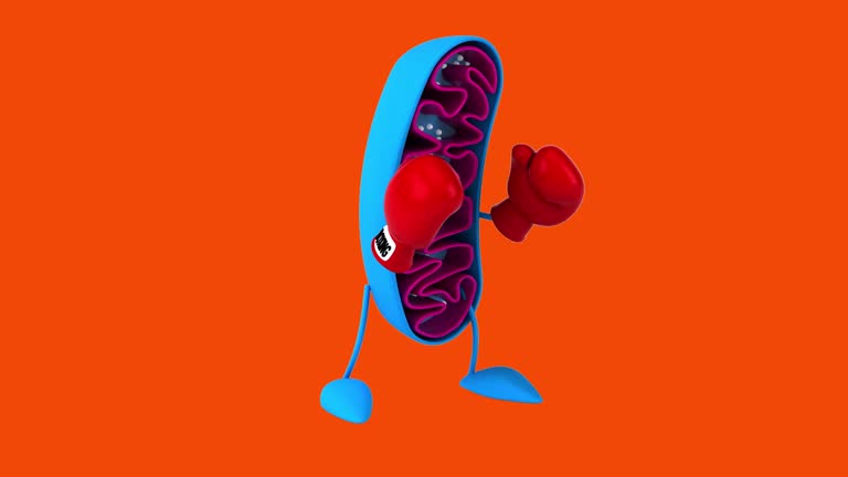 Fun 3D cartoon mitochondria (with alpha channel included)