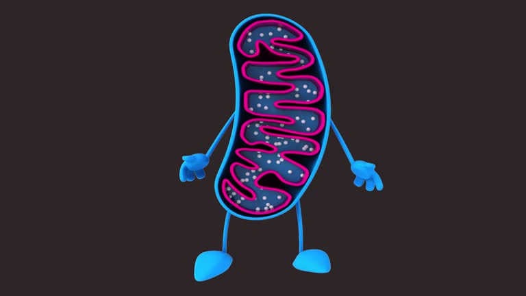 Fun 3D cartoon mitochondria (with alpha channel included)