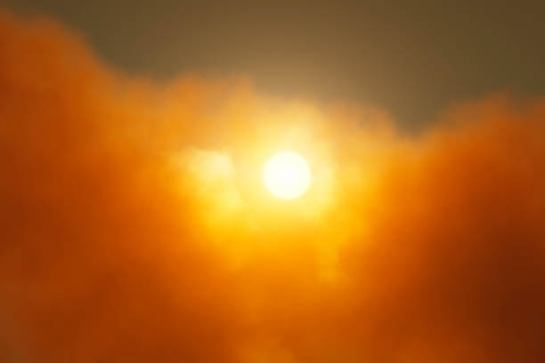 The sun is in poisonous orange clouds.