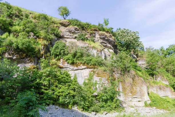 istock Trees and bushes growing on the steep rock canyon wall 1701851402