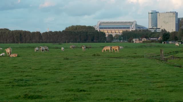 View of Amsterdam Zuidoost, modern buildings seen from the agricultural field