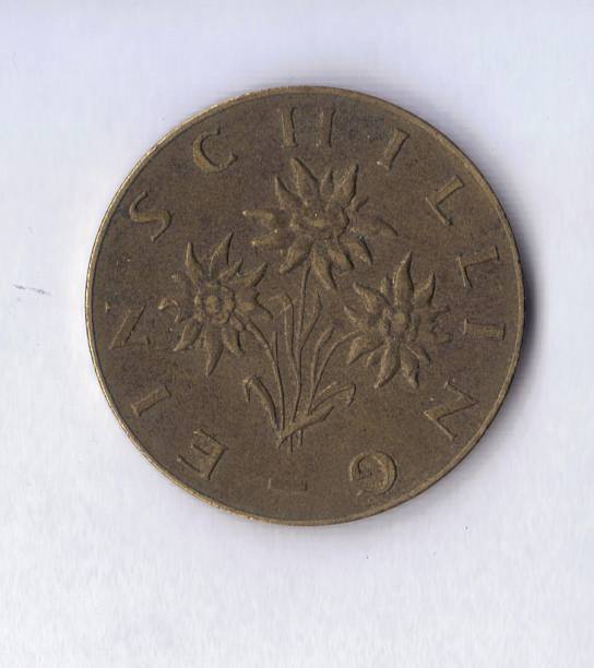 istock Numismatic Coin: Austria 1965 1 Schilling Flower View 170187349