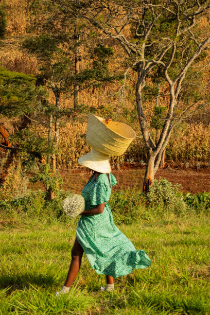 istock Walking in the farm 1701875223