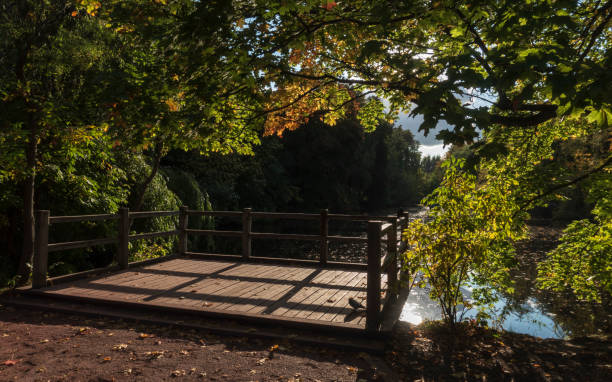 Evening in an autumn park