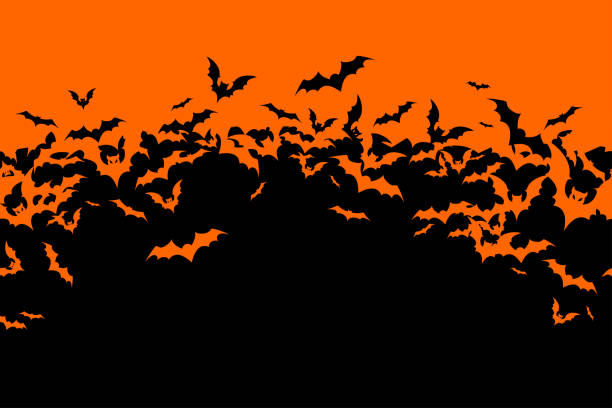 オレンジの背景にハロウィーンのバナーと黒いコウモリ。テキスト付きのイラスト。 - bat vampire silhouette halloween点のイラスト素材／クリップアート素材／マンガ素材／アイコン素材