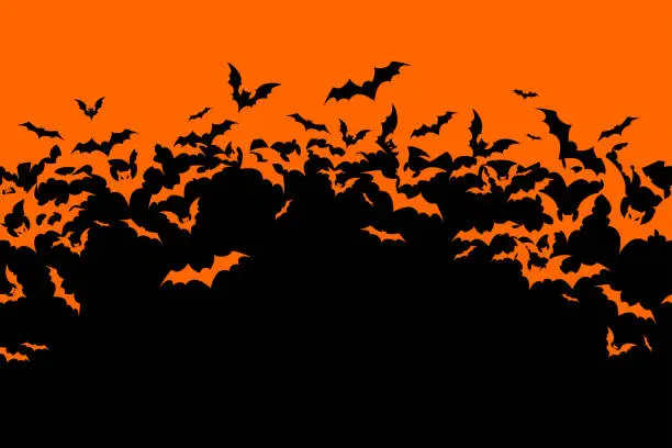 Vector illustration of Halloween banner with black bats on the orange background. Illustration with text.