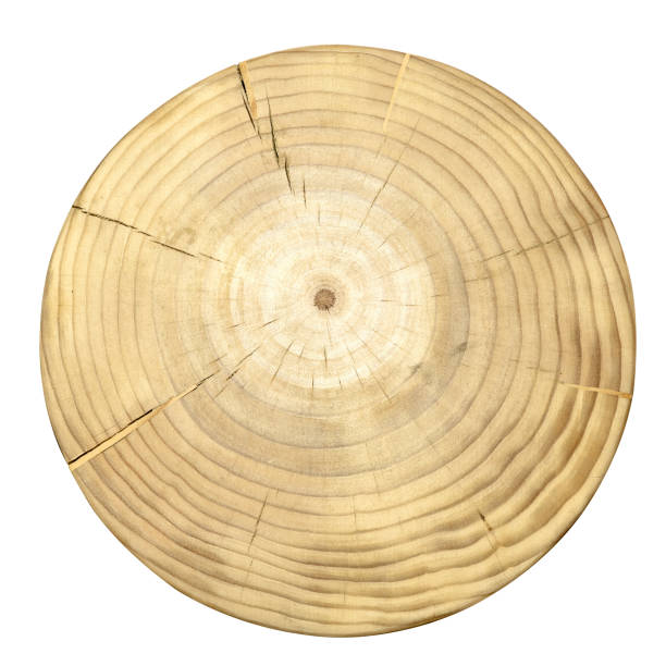istock Round cutting board isolated on white background. Wooden tray. 1701891278