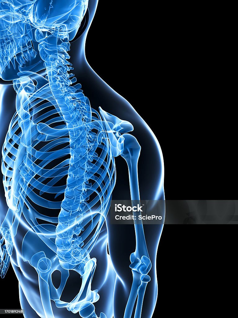 Szkieletowych na ramię - Zbiór zdjęć royalty-free (Anatomia człowieka)