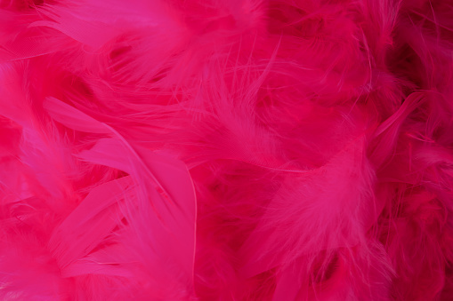 feather boa pink background texture
