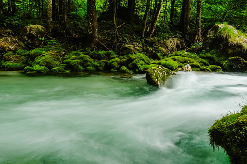 flowing clear green white water with stones and green moss in austria