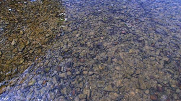 istock Crystal Clear Stream Bottom Rocks Stones and Flowing Water 1701913918