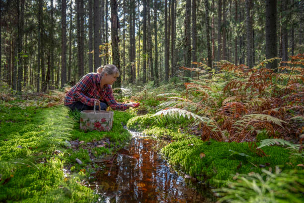 istock Woman in forest near small stream 1701922835