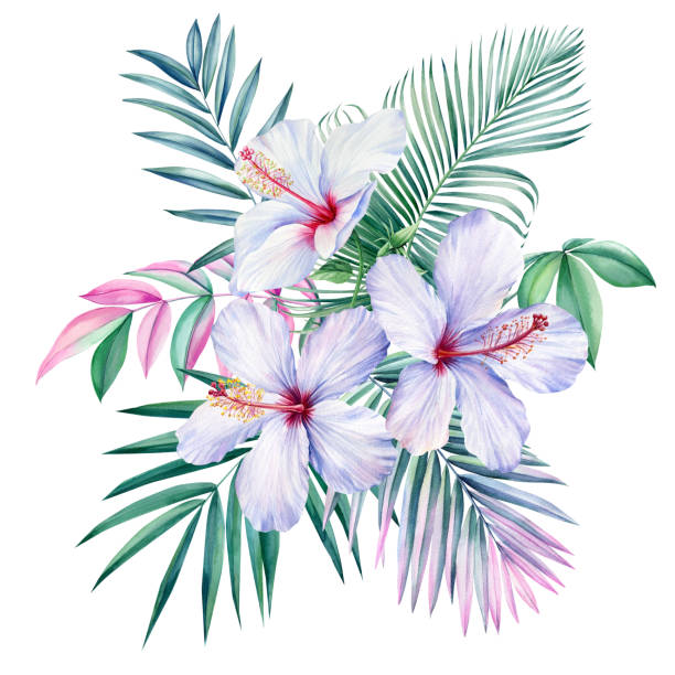 ilustrações de stock, clip art, desenhos animados e ícones de tropical palm leaves and hibiscus flowers. watercolor tropical leaf, floral set  illustration, exotic composition - palm leaf branch leaf palm tree