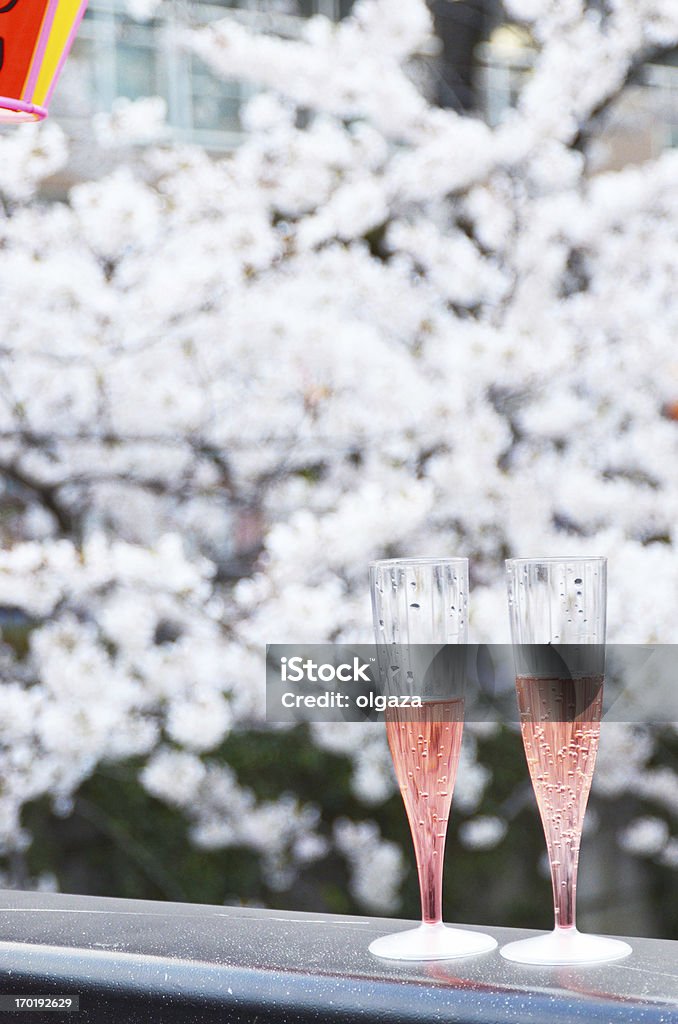 하나미 - 로열티 프리 벚꽃 스톡 사진