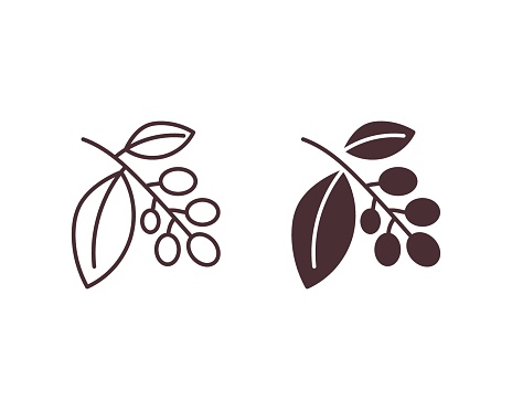 Coffee plant icon vector illustration. Leaf and fruit  on isolated background. Coffee tree sign concept.