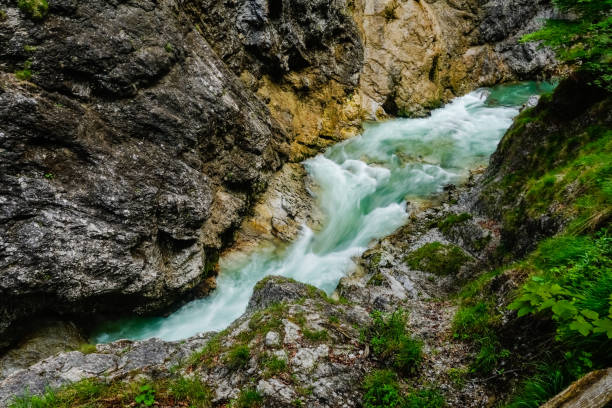 istock rushing green white water between a rock wall during hiking 1701949222