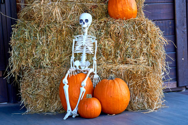 istock White halloween skeleton on a hay, orange pumpkins 1701964294