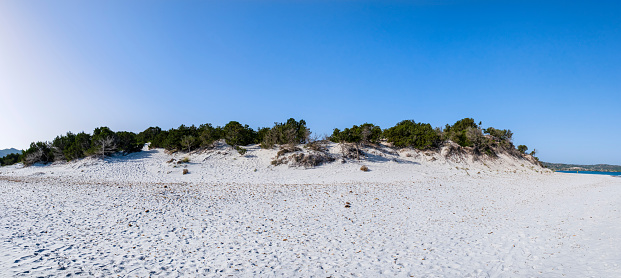 Dunes on the Beach of Capo Comino, made of white sand and dotted with junipers (6 shots stitched)