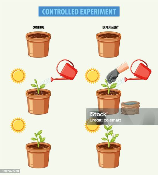 Control Experiment Science Scientific Test Biology Education Through Controlled Experiments Stock ...