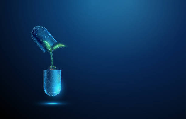 abstrakcyjna niebieska kapsułka leku medycznego z zieloną rośliną w środku koncepcja medyczna i farmaceutyczna konstrukcja w stylu low poly - capsule pill vitamin pill herbal medicine stock illustrations