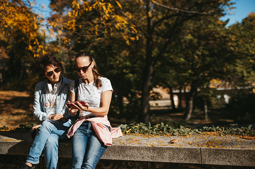 Two mature female friends sitting on concrete wall in city park and using mobile phone on sunny autumn day