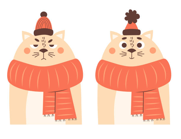 Sad and happy winter cat character in knitted scarf and hat. Vector illustration. New Year and Christmas design, holiday card, decor. Sad and happy winter cat character in knitted scarf and hat. Vector illustration. New Year and Christmas design, holiday card, decor cat muzzle meowing cartoon stock illustrations