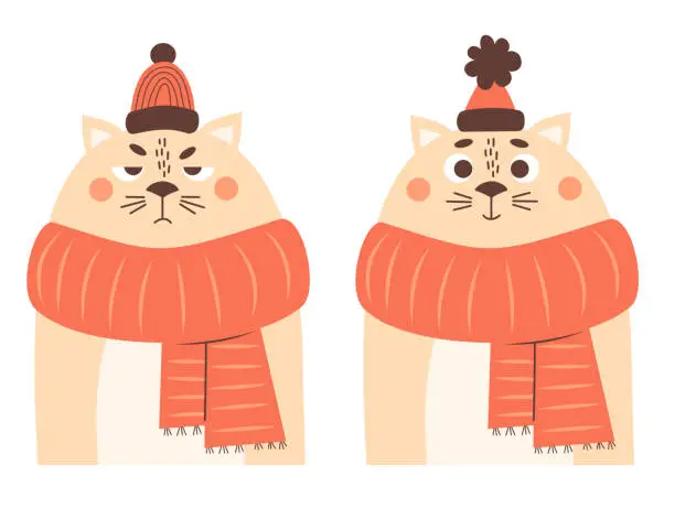 Vector illustration of Sad and happy winter cat character in knitted scarf and hat. Vector illustration. New Year and Christmas design, holiday card, decor.