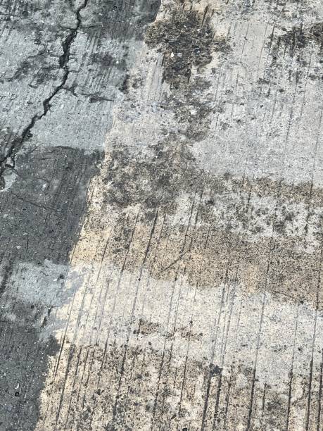 istock a photography of a black and white fire hydrant on a sidewalk,d concrete surface with cracks and cracks on it. 1701983203
