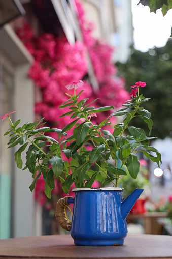 Watering can on table with pink  flower