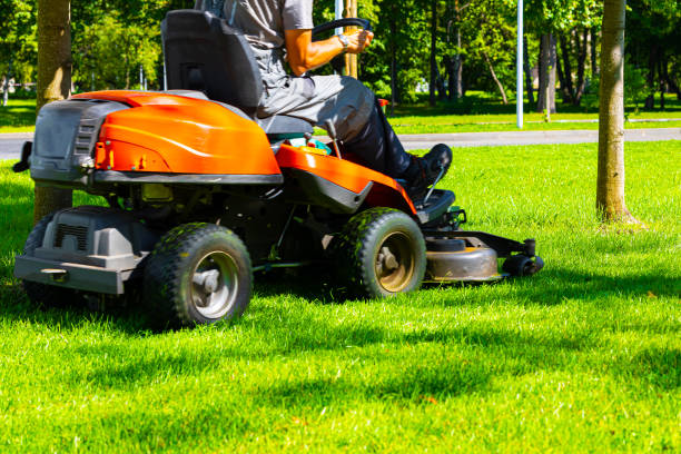 istock lawn mower mows the grass on a tractor, photographed in motion 1701999210