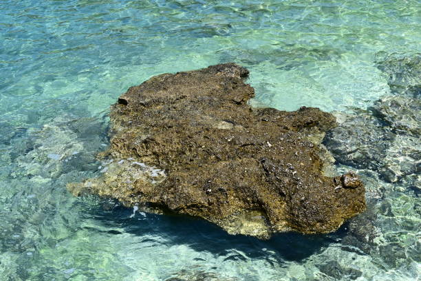 istock Big rock in the sea 1702005422