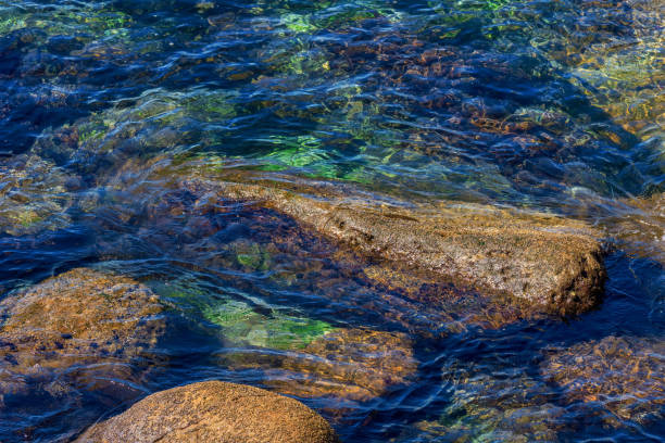 istock Green water on rocky coast 1702020032