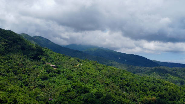 istock Mountain tops covered with jungle and tropical rainforest among the clouds. 1702023647