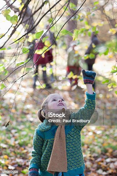 Foto de Garota Puxando Em Um Galho De Árvore No Outono e mais fotos de stock de 6-7 Anos - 6-7 Anos, Atividades de Fins de Semana, Casaco