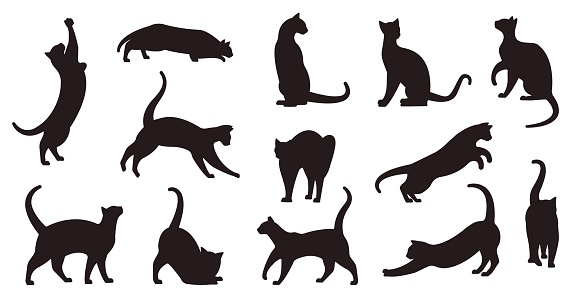 Silhouette cats in different poses. Sitting, walking, playing, standing position. Black shapes of graceful feline. Group of vector pretty pussycat for design, logo, cut element, emblem.